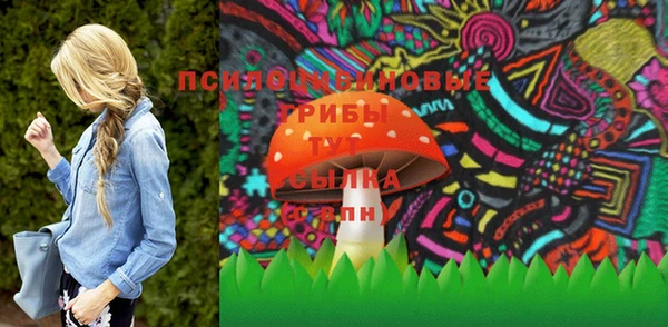 ПСИЛОЦИБИНОВЫЕ ГРИБЫ Инсар