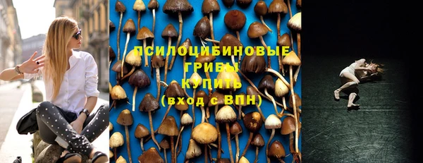 соль ск Инта