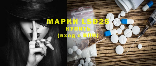 ПСИЛОЦИБИНОВЫЕ ГРИБЫ Инсар
