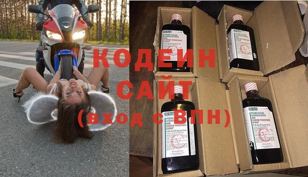 ПСИЛОЦИБИНОВЫЕ ГРИБЫ Инсар